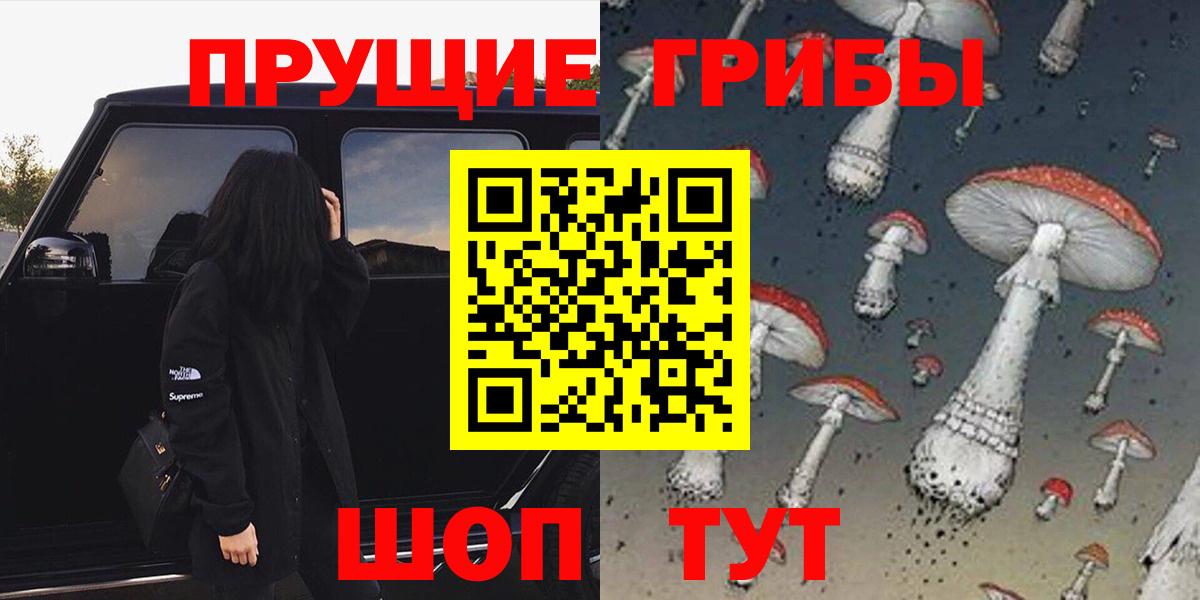 Галлюциногенные грибы Psilocybe Сафоново